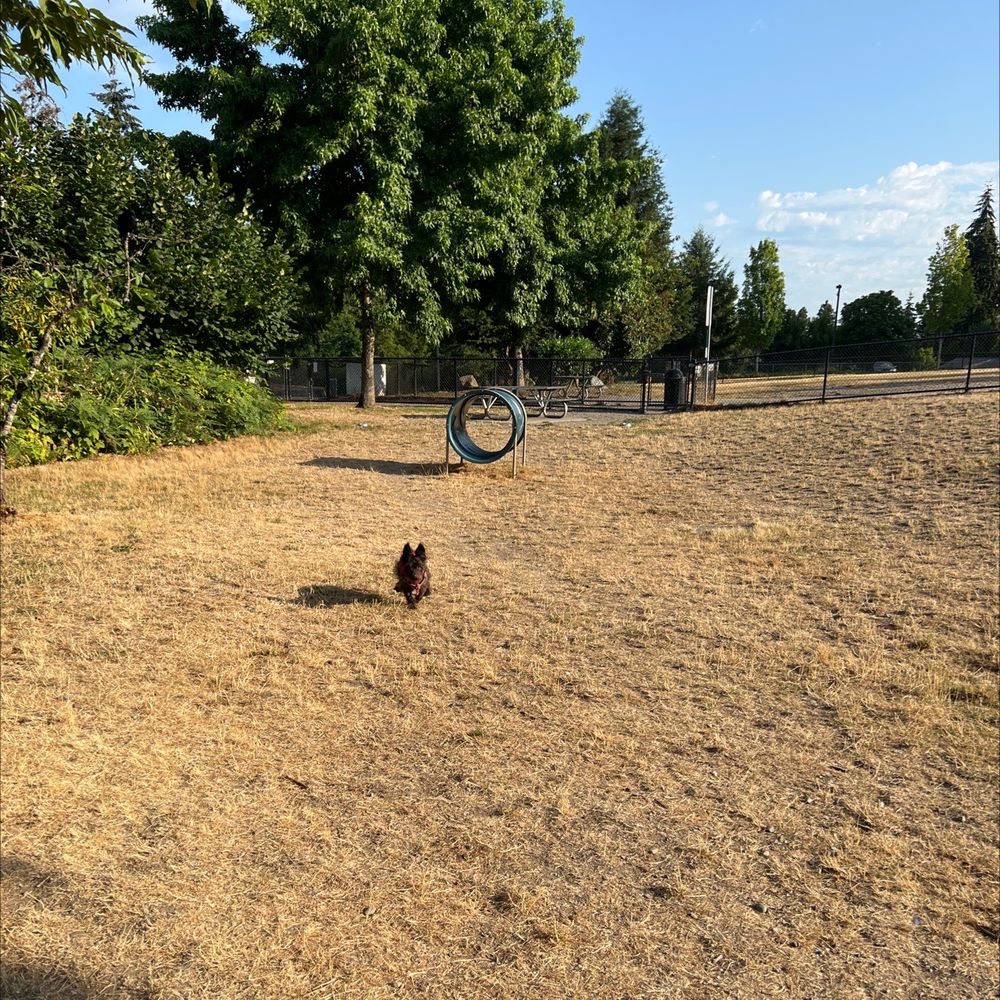 Crestview Off-Leash Dog Park - Lots of room, but could use more seating - Dog Parks Near Me - Tukwila, Washington Crestview Off-Leash Dog Park - Lots of room, but could use more seating - Dog Parks Near Me - Tukwila, Washington