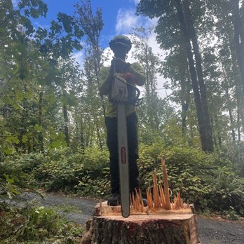 Ascension Tree Care - Tree Services Near Me Ascension Tree Care - Tree Services Near Me