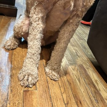 PetSmart - Pet Training Near Me - Monroe, New York
