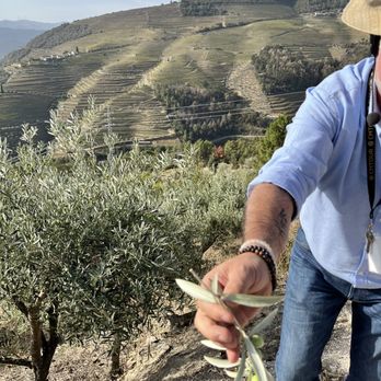 CMTOUR - Paulo teaching us about the agriculture in Duoro Valley - Boat Tours Near Me - Peso da Régua, 17
