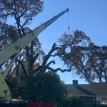 Fox Hollow ArborCare - Tree Services Near Me
