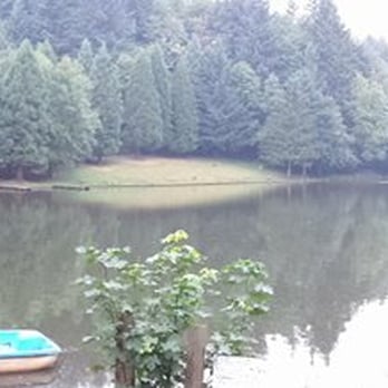 Horning's Hideout - an attempt of a panorama pic... - Parks Near Me - North Plains, Oregon