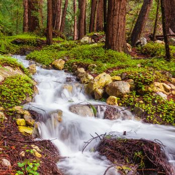 Mill Creek Trail - Hiking Near Me - Big Sur, California