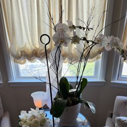 Beethoven's Veranda