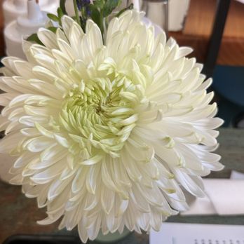 Huli Sue’s - Our table flower was HUGE - Hawaiian Near Me - Asheville, North Carolina Huli Sue’s - Our table flower was HUGE - Hawaiian Near Me - Asheville, North Carolina