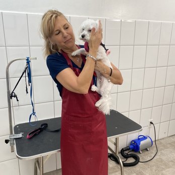 Mimi's 1 Pet Services - Pet Groomers Near Me - Hallandale Beach, Florida