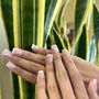 Photo of Sunshine Nails and Spa