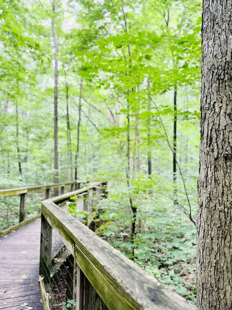 Lindenwood Nature Preserve Logo