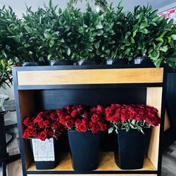 Velvet Art Floral Studio