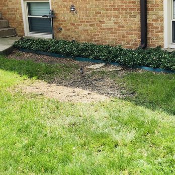 County Tree Service - Stump after. - Tree Services Near Me - Stickney, Illinois County Tree Service - Stump after. - Tree Services Near Me - Stickney, Illinois