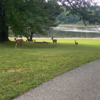 Cane Creek Park - Wildlife at the park. - Parks Near Me - Cookeville, Tennessee