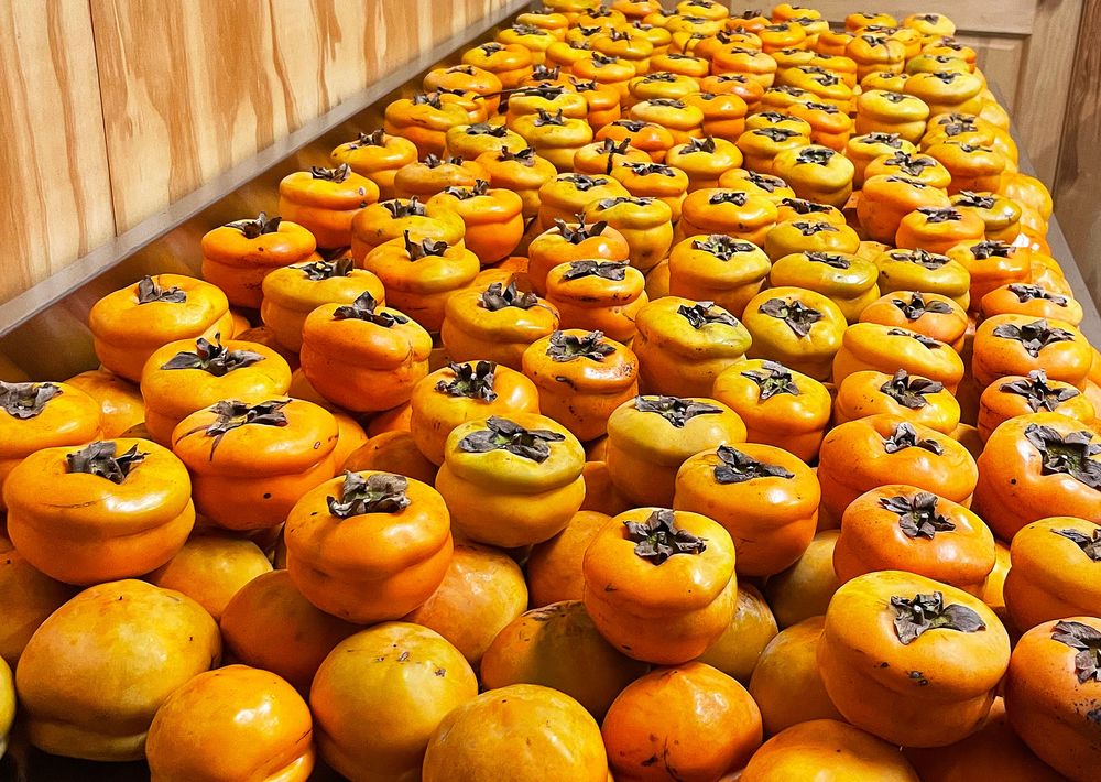 Eight Gates Farm - beekeeping in Chapel Hill, NC