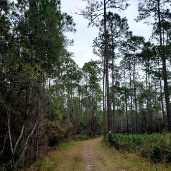 Julington-Durbin Preserve - Hiking Near Me - Jacksonville, Florida Julington-Durbin Preserve - Hiking Near Me - Jacksonville, Florida