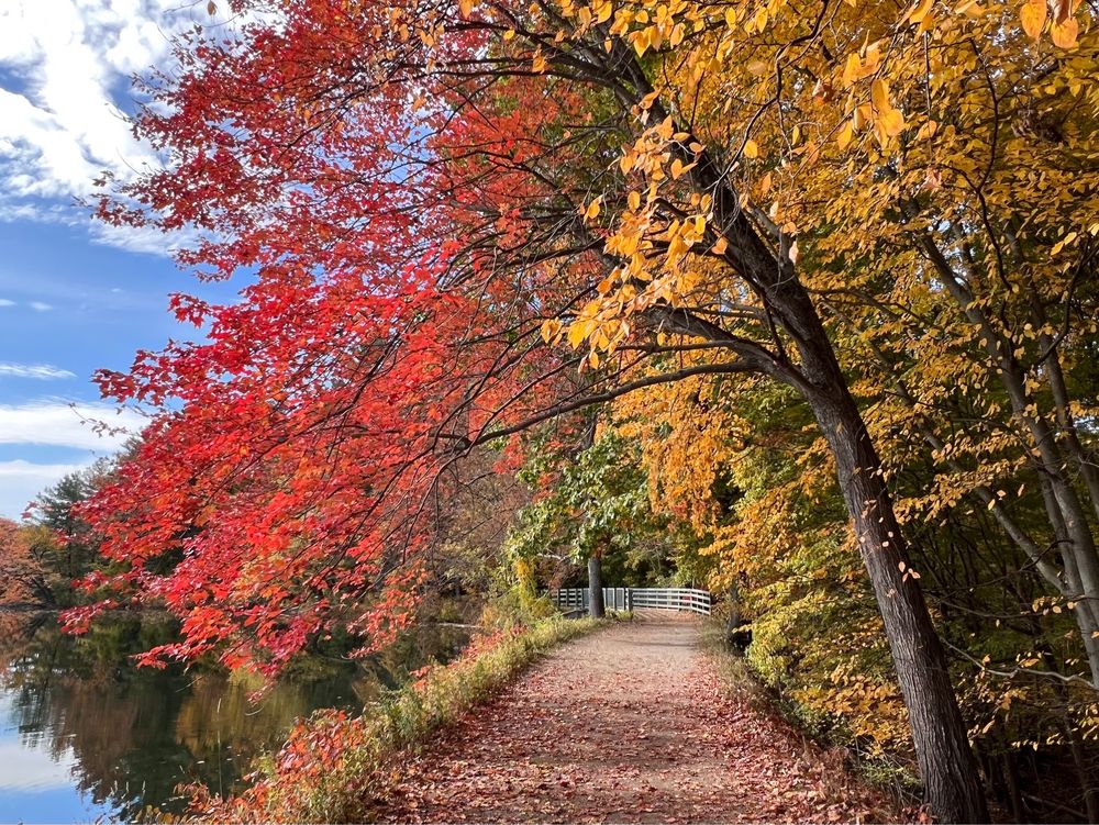 Social spots from Mine Falls Park