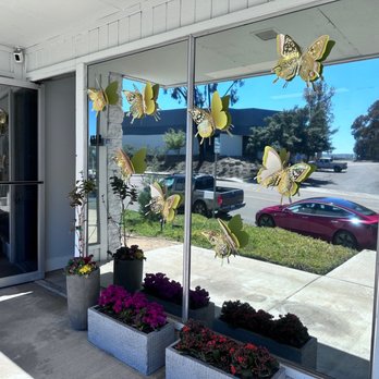 Silver Lining Cremations - Welcoming butterflies as your walk up - Cremation Services Near Me - Escondido, California Silver Lining Cremations - Welcoming butterflies as your walk up - Cremation Services Near Me - Escondido, California