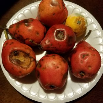Produce Junction - Fruits & Veggies Near Me - Philadelphia, Pennsylvania Produce Junction - Fruits & Veggies Near Me - Philadelphia, Pennsylvania