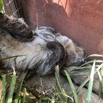 Wildlife Learning Center - Zoos Near Me - Sylmar, California