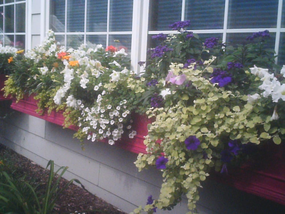 MASSAGE CENTER FOR BODYWORK Updated September 2024 68 High Country