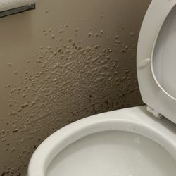 Orinda Care Center - Gross bathroom, mold