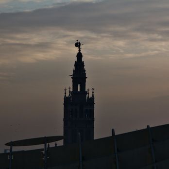 Las Setas - Metropol Parasol - Views from the top - Local Flavor Near Me - Seville, SE Las Setas - Metropol Parasol - Views from the top - Local Flavor Near Me - Seville, SE