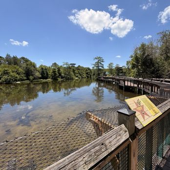 Gatorland - Zoos Near Me - Orlando, Florida Gatorland - Zoos Near Me - Orlando, Florida