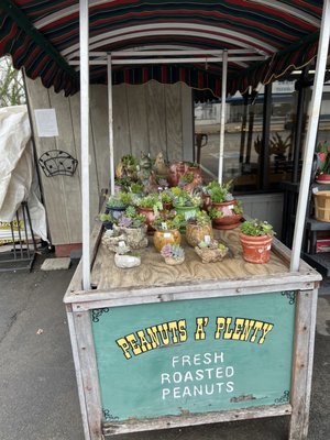 Horn of Plenty Marketplace by null