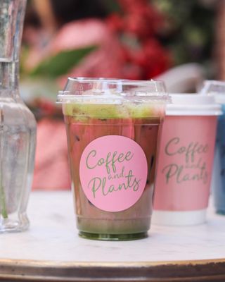 Coffee and Plants by null