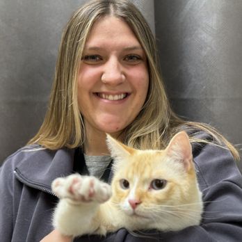 Westside Pet Hospital - Veterinarians Near Me - Bend, Oregon Westside Pet Hospital - Veterinarians Near Me - Bend, Oregon