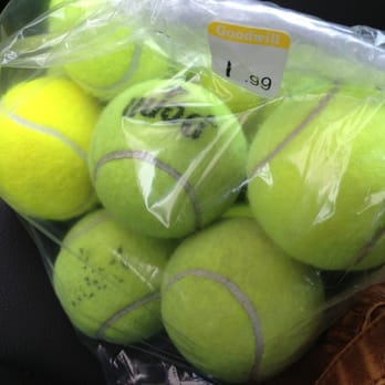 Goodwill - My purchase for the day... The dogs will enjoy them! - Used, Vintage & Consignment Near Me - Oceanside, California