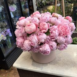 Shu's Flowers