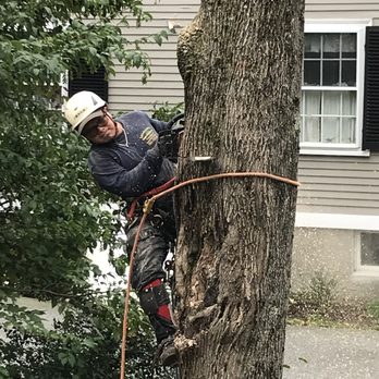 Edgar and Sons - Cutting section by section - Landscaping Near Me - Peabody , Massachusetts