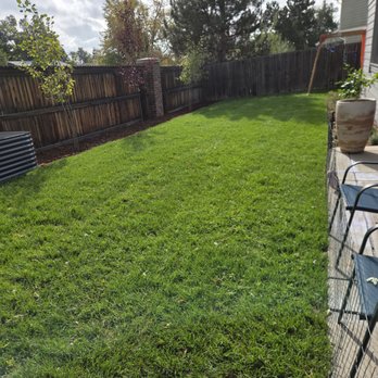 Av A Lawn - Landscaping Near Me Av A Lawn - Landscaping Near Me