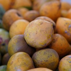 International Farmer’s Market