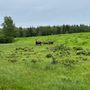 Photo of Alaska Trail Guides