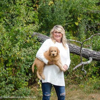 morningstar goldendoodles