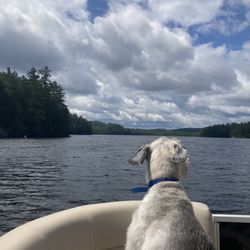 Saranac Lake Marina - Cruising around Lower Saranac Lake