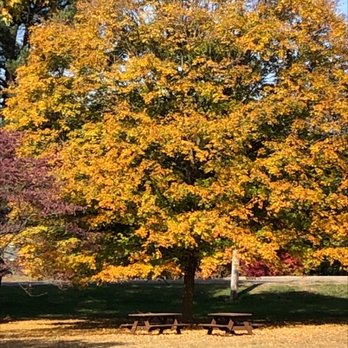 Glenns Valley Nature Park - Picnic areas - Parks Near Me - Indianapolis, Indiana Glenns Valley Nature Park - Picnic areas - Parks Near Me - Indianapolis, Indiana