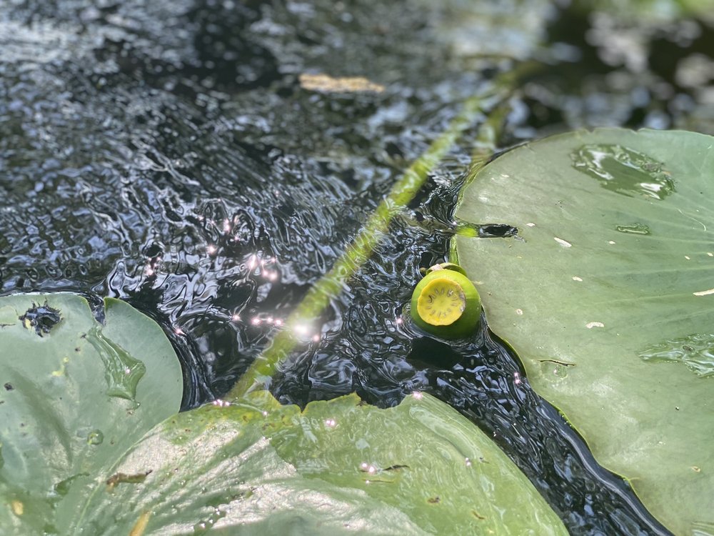 BOOMTOWN USA RV RESORT Updated August 2024 58 Photos & 23 Reviews