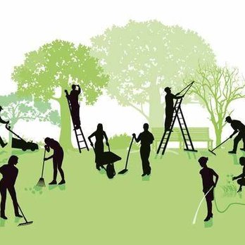 Donnells Perfect Lawn Service - a group of people working in the park - Lawn Services Near Me Donnells Perfect Lawn Service - a group of people working in the park - Lawn Services Near Me