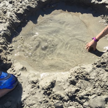 Coronado Center Beach - The hole we dug up lol - Beaches Near Me - Coronado, California Coronado Center Beach - The hole we dug up lol - Beaches Near Me - Coronado, California