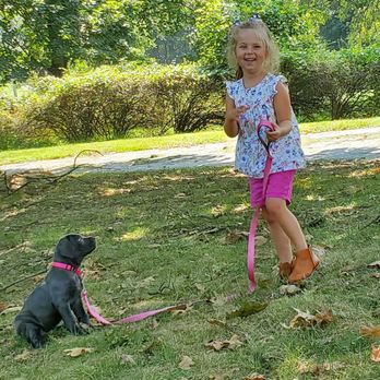 In Command Dog Training - Pet Training Near Me - Steelton, Pennsylvania