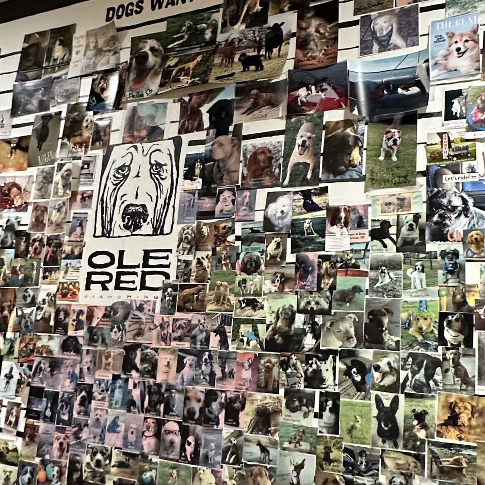 Ole Red - Dogs Wanted! - Bars Near Me - Tishomingo, Oklahoma Ole Red - Dogs Wanted! - Bars Near Me - Tishomingo, Oklahoma