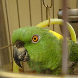 Erickson Veterinary Hospital