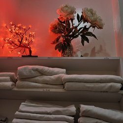 Holly Beauty and Spa - 6/30/23