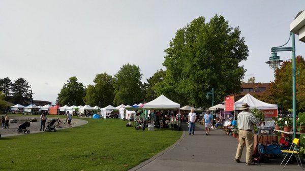 Kirkland Wednesday Market by null