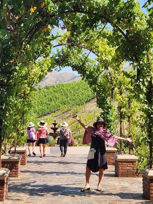 Siren Song Wines Vineyard Estate and Winery by null