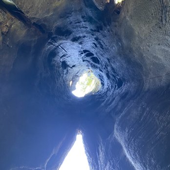 Shrine Drive Thru Tree - Inside the 3,000 year old Drive-Thru Tree Shrine. Cool view looking up! - Landmarks & Historical Buildings Near Me - Meyers Flat, California Shrine Drive Thru Tree - Inside the 3,000 year old Drive-Thru Tree Shrine. Cool view looking up! - Landmarks & Historical Buildings Near Me - Meyers Flat, California