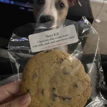 The Cookie Bar - Decent cookie, Buzz Kill (Chocolate Chip Cookie). I did not share with the dog in photo. - Desserts Near Me - Las Vegas, Nevada The Cookie Bar - Decent cookie, Buzz Kill (Chocolate Chip Cookie). I did not share with the dog in photo. - Desserts Near Me - Las Vegas, Nevada