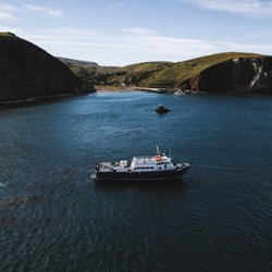 Dive Channel Islands