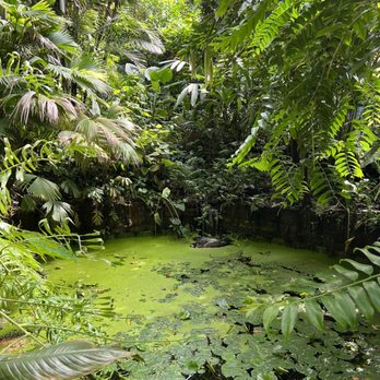 De Hortus Botanicus - Venues & Event Spaces Near Me - Amsterdam, New Hampshire De Hortus Botanicus - Venues & Event Spaces Near Me - Amsterdam, New Hampshire